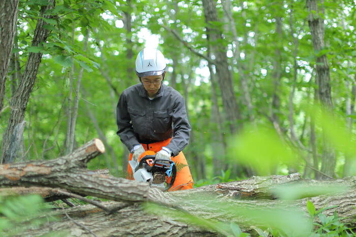 町の資源、天然林と炭焼き小屋を生かす小規模林業を。