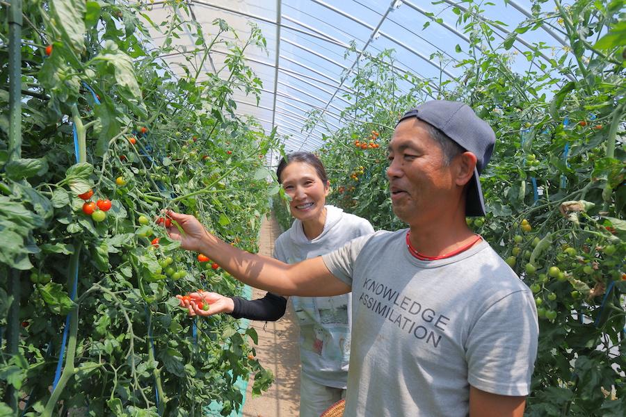 トマトはかすがい。移住した夫婦が、新規就農で見つけたスタイル