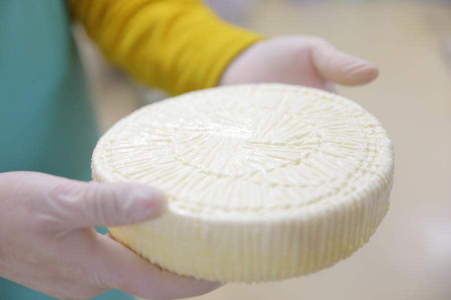 町民が日常使いできる、上川町産生乳100％のチーズ作りに挑戦