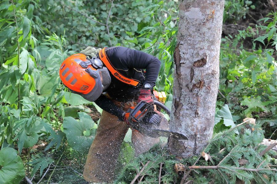 森を守る仕事。南富良野でフォレストワーカーの新卒採用実施中！