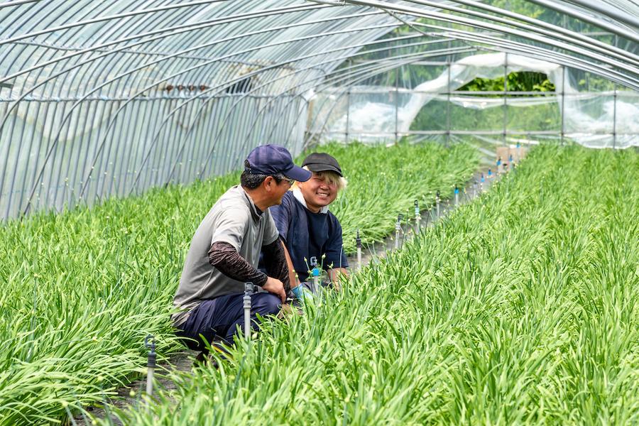 農業中心のマルチワーカーとして、知内町で活躍しませんか