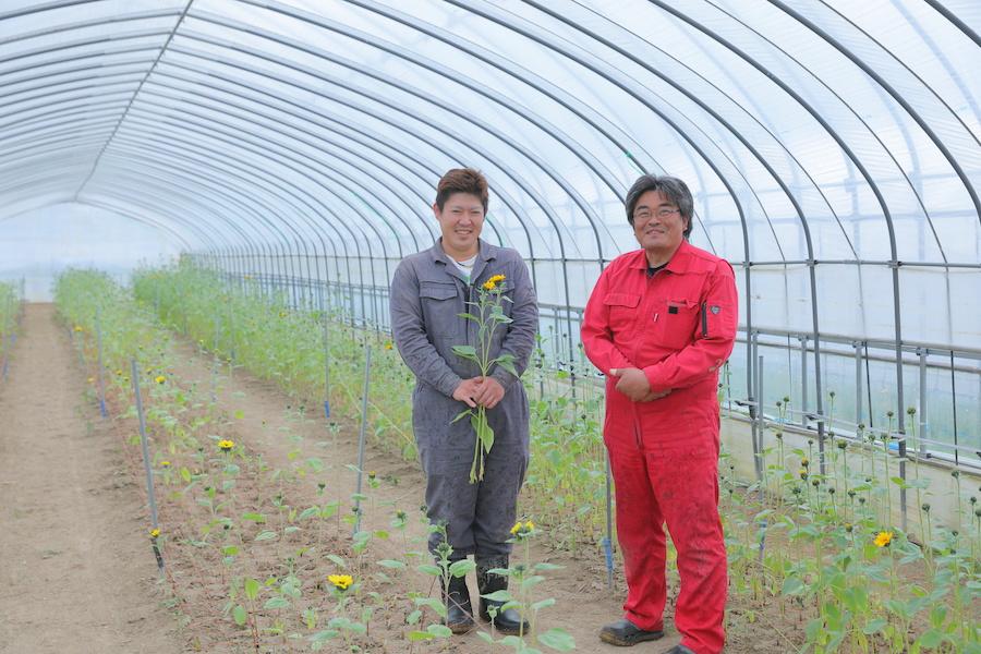 当別町で花卉栽培に取り組む「四季農場」でスタッフ募集中!