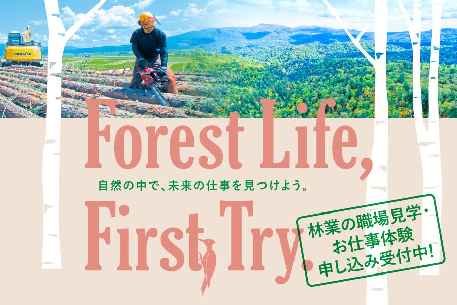 自然の中で、未来の仕事を見つけよう!林業のお仕事体験実施中!