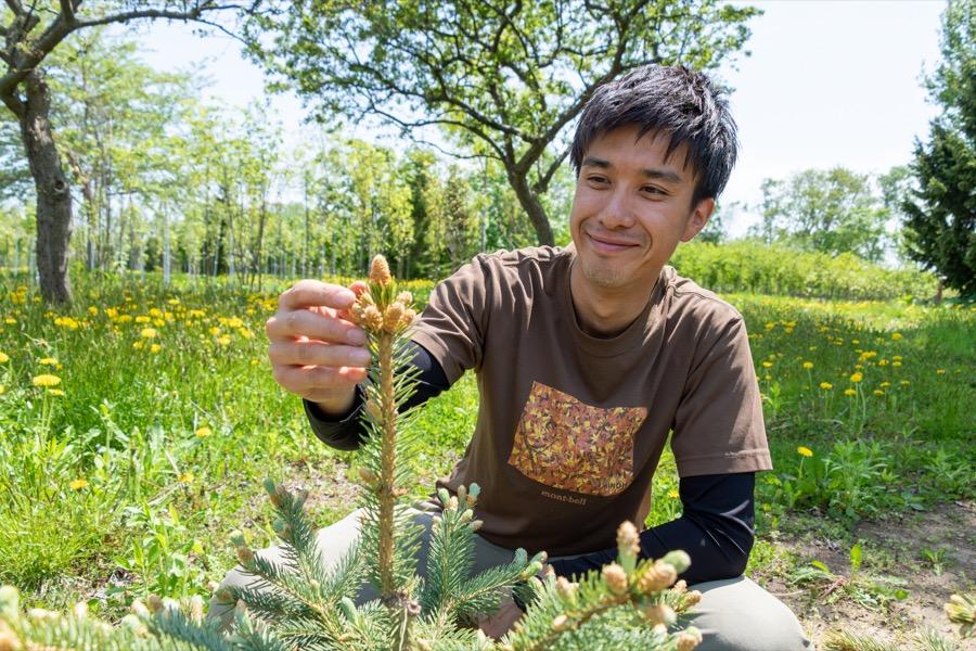 伐るだけじゃない、育てる林業。次世代の森を見据えて