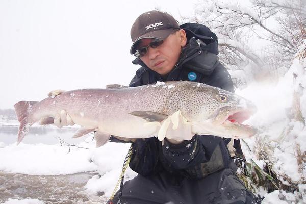 006_itou84.JPGのサムネイル画像