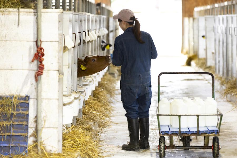 未来の食料を支える都市型メガファームで、酪農スタッフ募集！