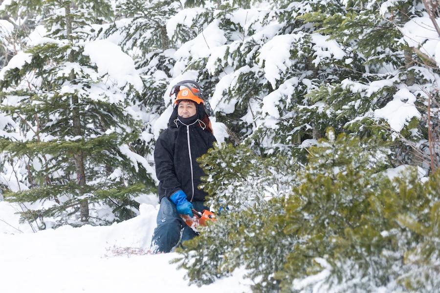 未経験から林業！八雲町の山越郡森林組合の求人サイトがオープン
