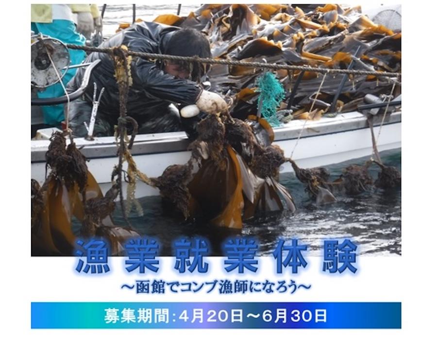 【参加者募集】函館でコンブ漁師にチャレンジ！漁業就業体験のお知らせ