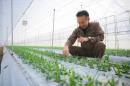 「北海道花き生産連合会」を通して生産者の想いを届ける花農家