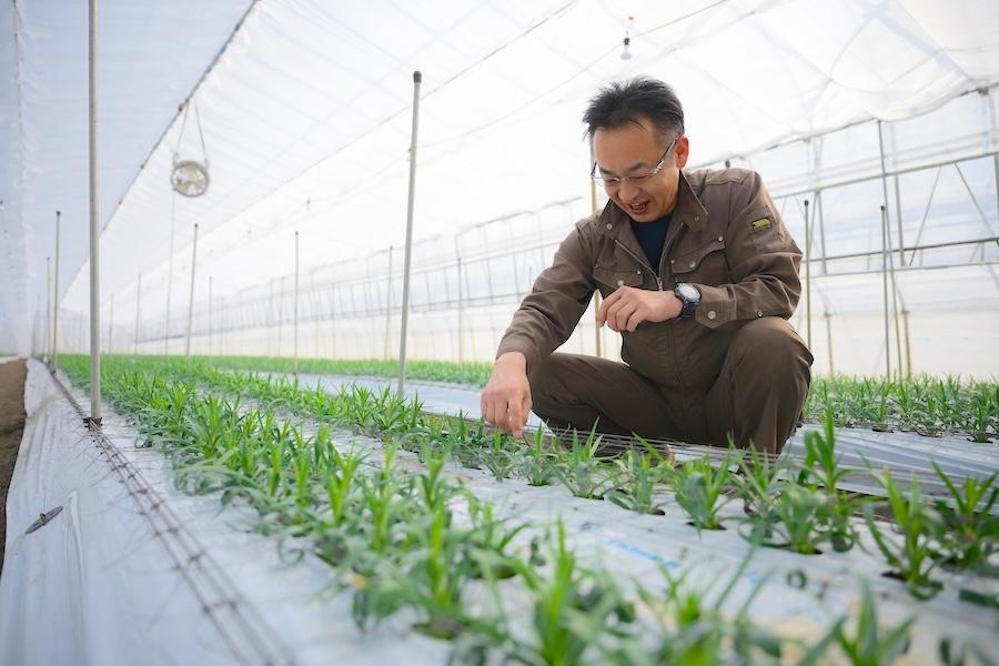 「北海道花き生産連合会」を通して生産者の想いを届ける花農家