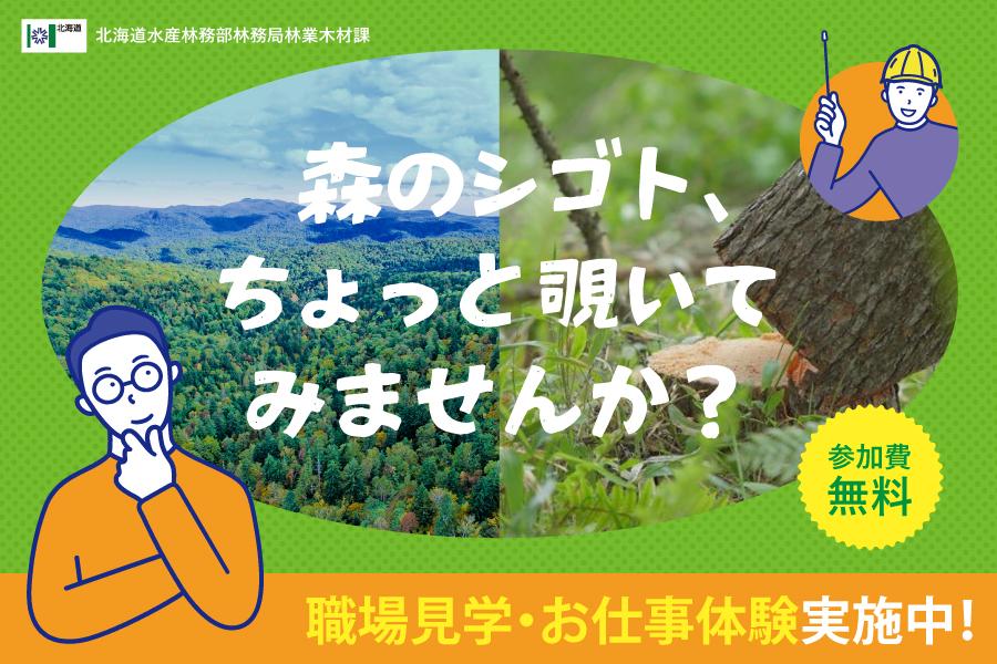 自然の中で、未来の仕事を見つけよう！林業のお仕事体験実施中！
