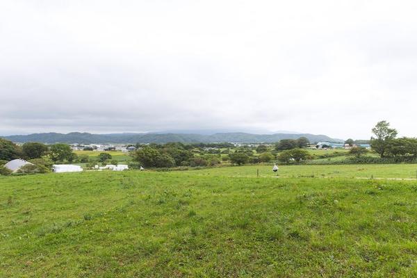 阿江牧場_26.jpg