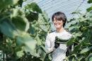 キュウリ栽培って面白い！未経験から農業に挑戦する協力隊男子