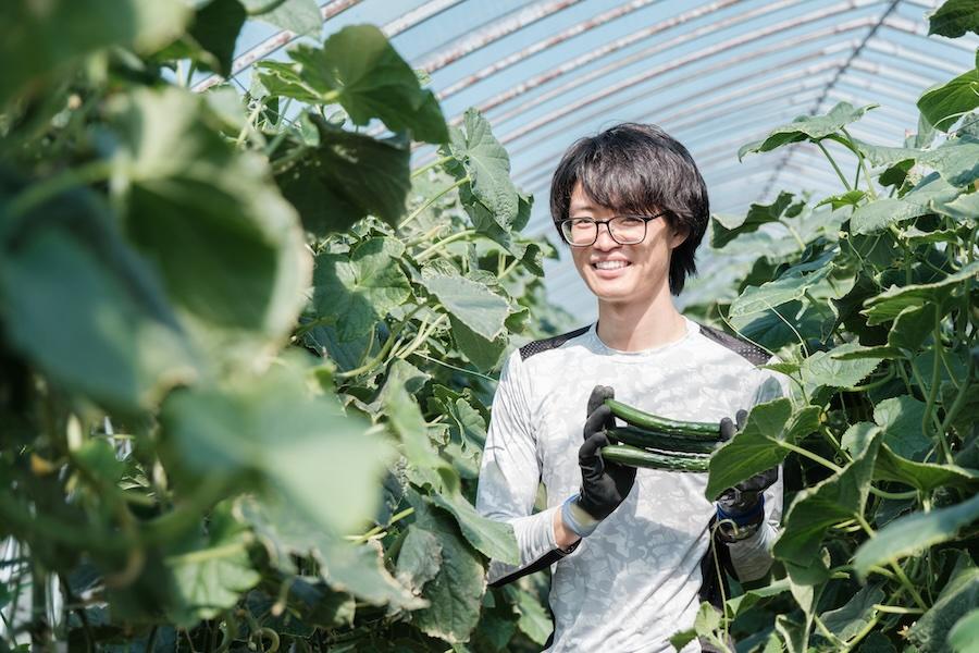 キュウリ栽培って面白い！未経験から農業に挑戦する協力隊男子
