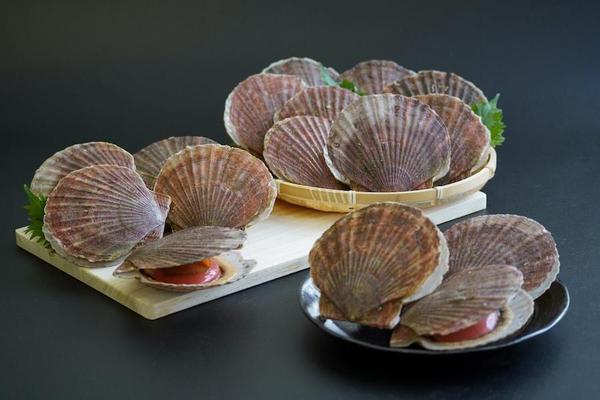 soyagyokyo14.jpg