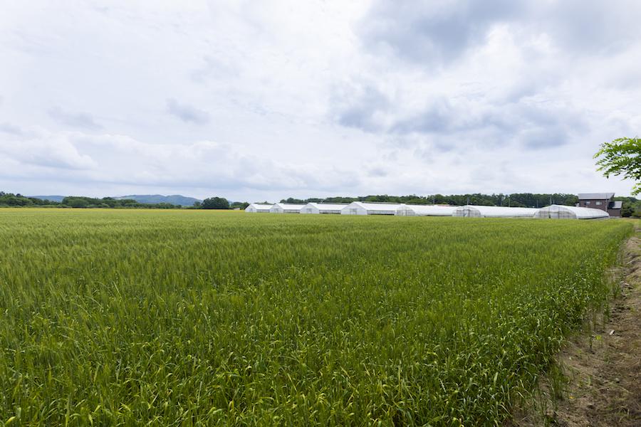 049_kitamurasan.jpg