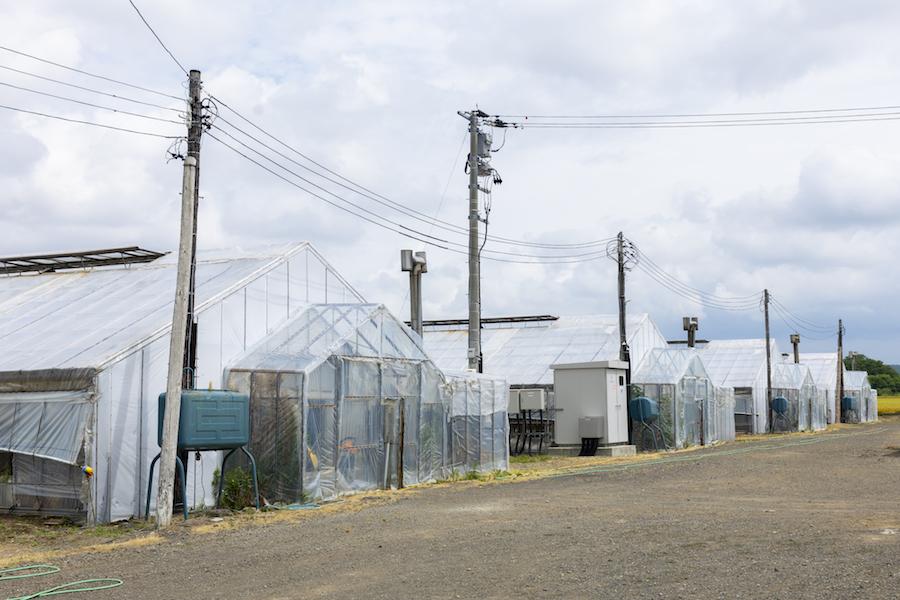 053_kitamurasan.jpg