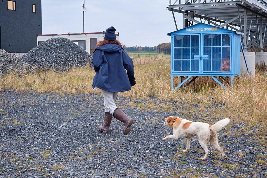 https://kurashigoto.hokkaido.jp/image/20241029_watanabesogofarm_21.jpg