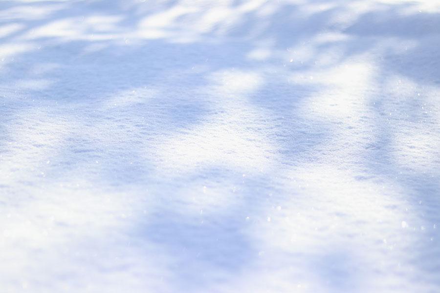 20260422_asahikawa_desigh_23.jpg