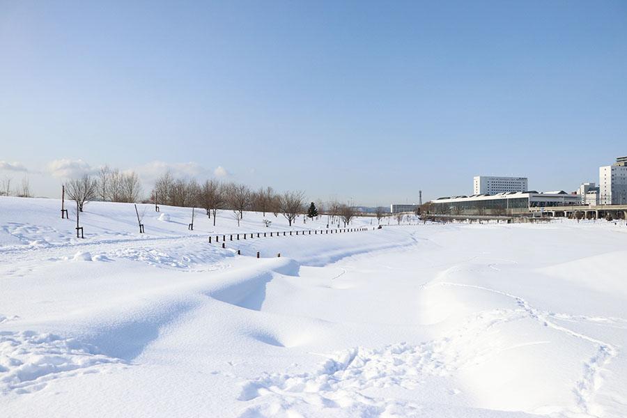 20260422_asahikawa_desigh_25.JPG