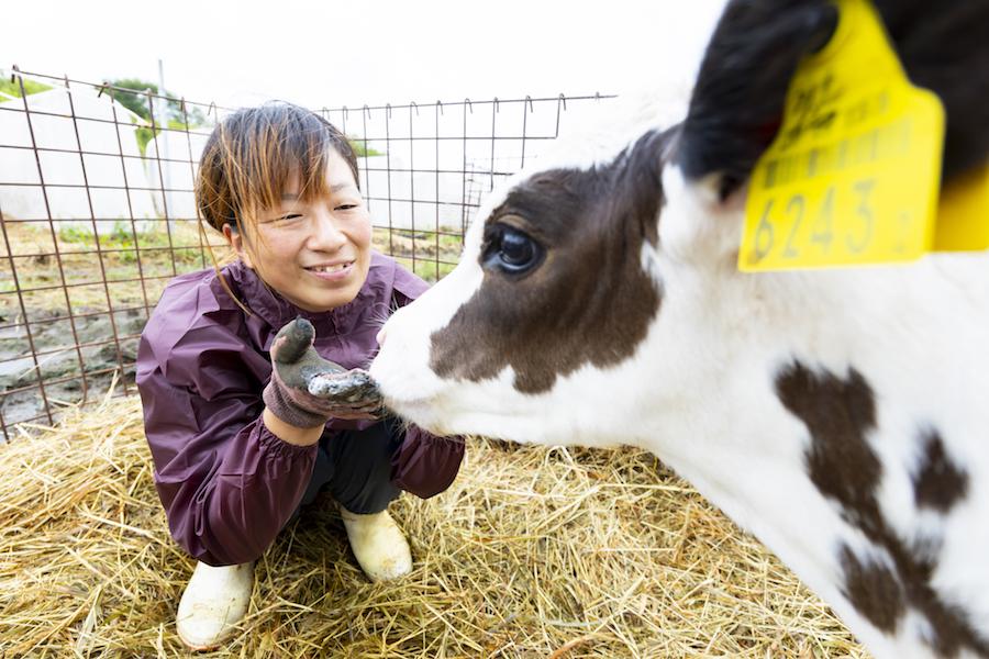 https://kurashigoto.hokkaido.jp/image/248_bmw.jpg