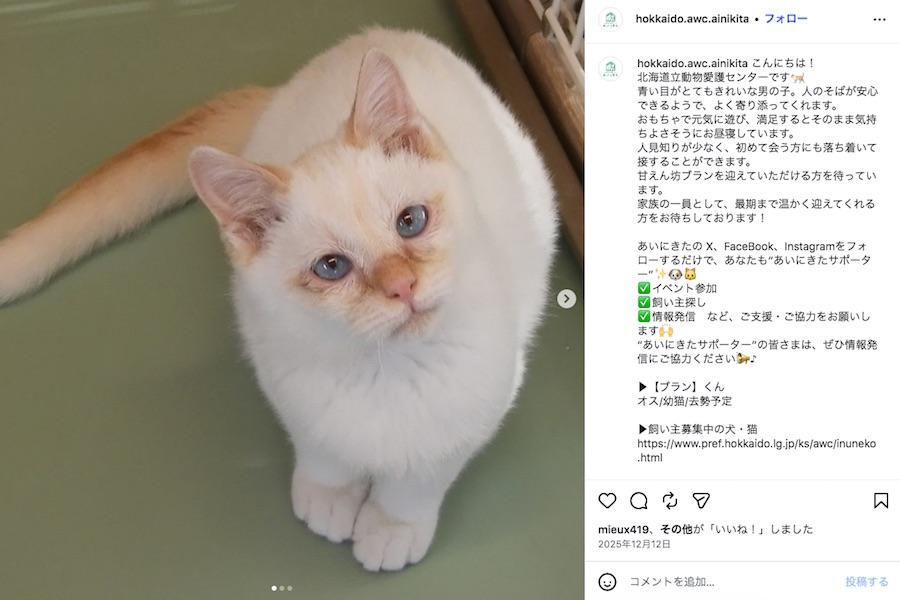 2026-01-08 15.36.18.jpg