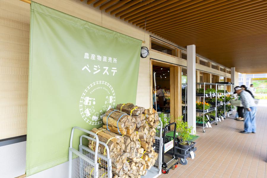 abirakanko_vegesta051.jpg
