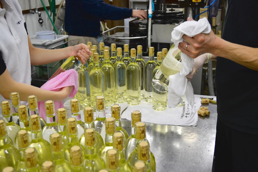 chitosewinery09.jpg