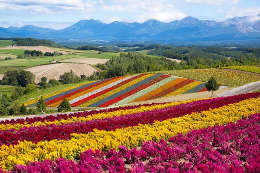 株式会社四季彩の丘