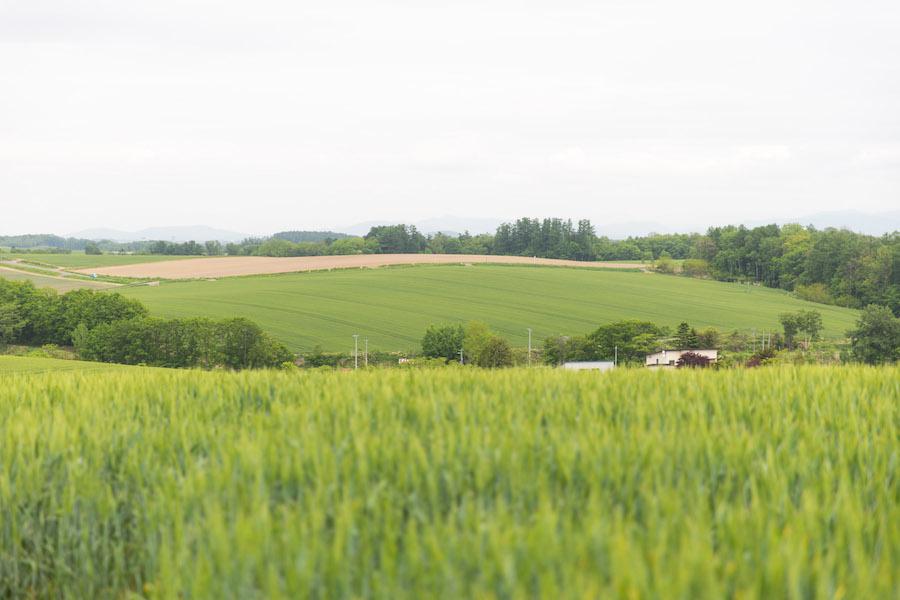 https://kurashigoto.hokkaido.jp/image/e636d2ff36f06333b788e91d93b8811b7df4627f.jpg