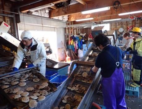 石狩湾　厚田写真2.jpg