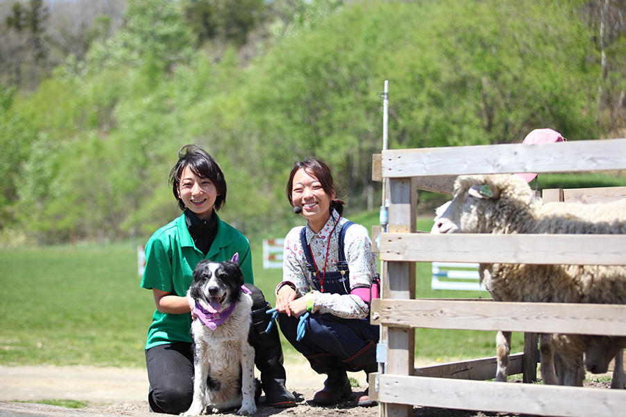 恵庭市】羊やアルパカと働く、二人の女性飼育員。 | 北海道の人