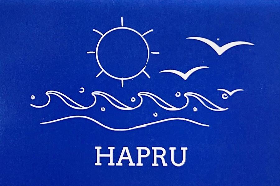 HAPRU(ハプル) 木内 さゆりさん