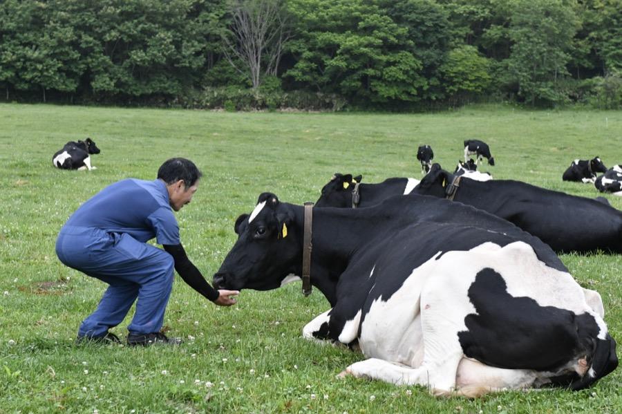 hirakawaF_16.JPG
