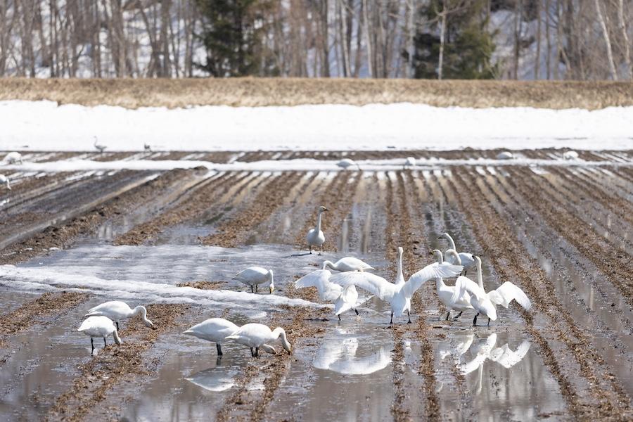 https://kurashigoto.hokkaido.jp/image/hit_19.jpg