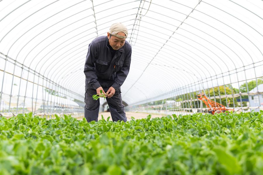https://kurashigoto.hokkaido.jp/image/kashiwadai_04.jpg