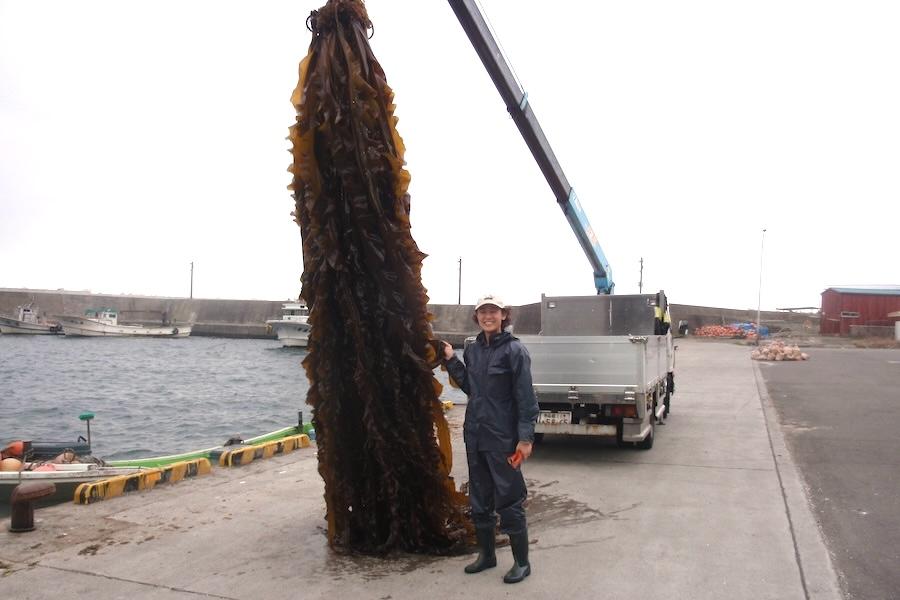 kataisiatumisan3.JPG