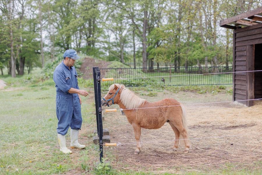 kojimafarm120.jpg
