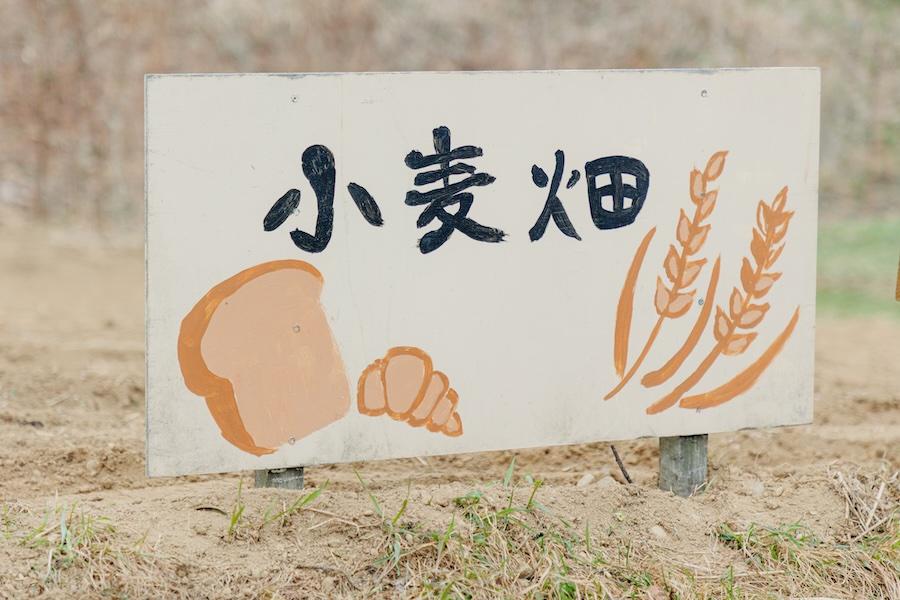 https://kurashigoto.hokkaido.jp/image/mugioto_komugibatake1906.jpeg
