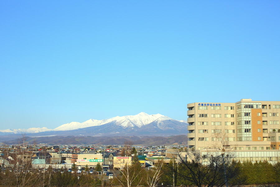 nishikawa-miyake-05.JPG