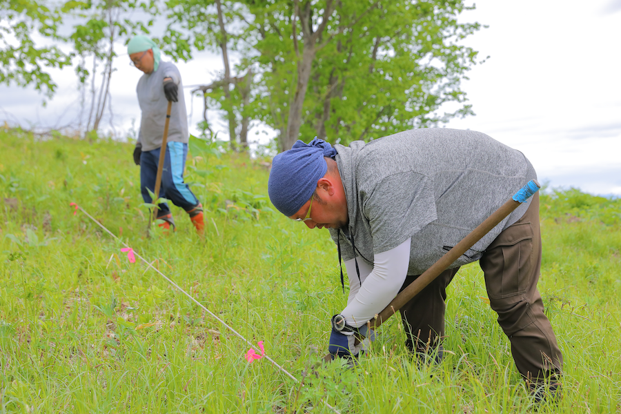 https://kurashigoto.hokkaido.jp/image/nishinosangyo_LINE9894.png