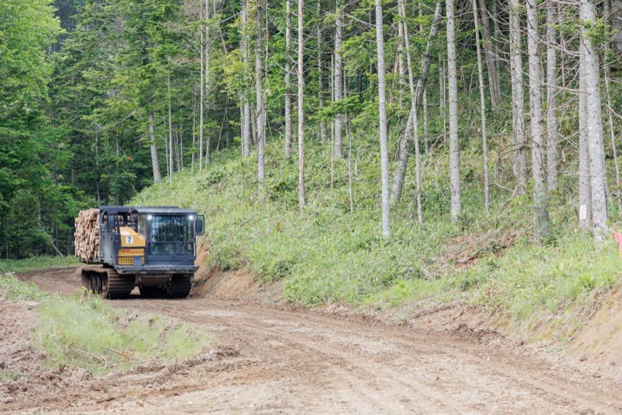 oji-forestry_1.jpg
