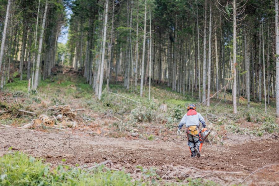 oji-forestry_18.jpg