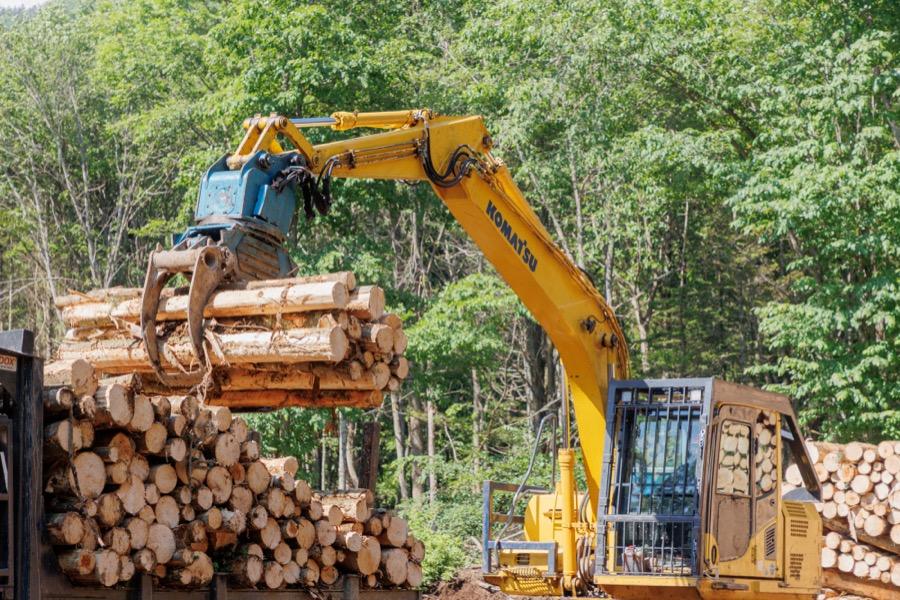 oji-forestry_75.jpg