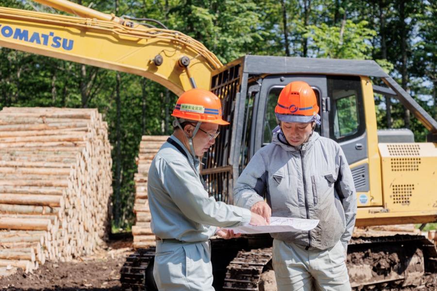 oji-forestry_91.jpg