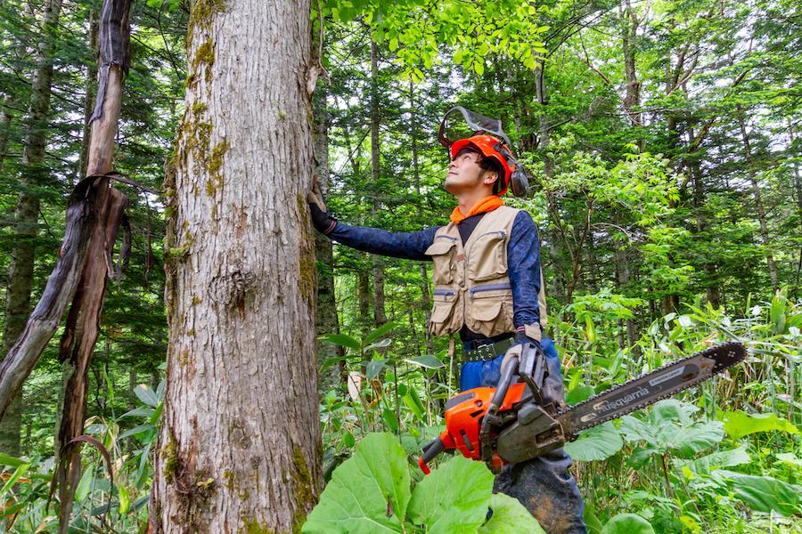 芦別市】職場は空知の森！森林整備スタッフとして働きませんか